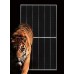 Jinko Solar PV Panels 535w